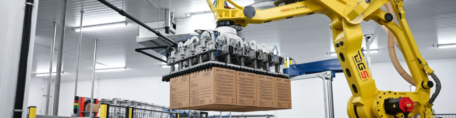 Роботизация паллетирования: анализ эффективности, критерии выбора оборудования и структура затрат