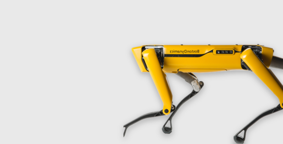 Роботы-собаки